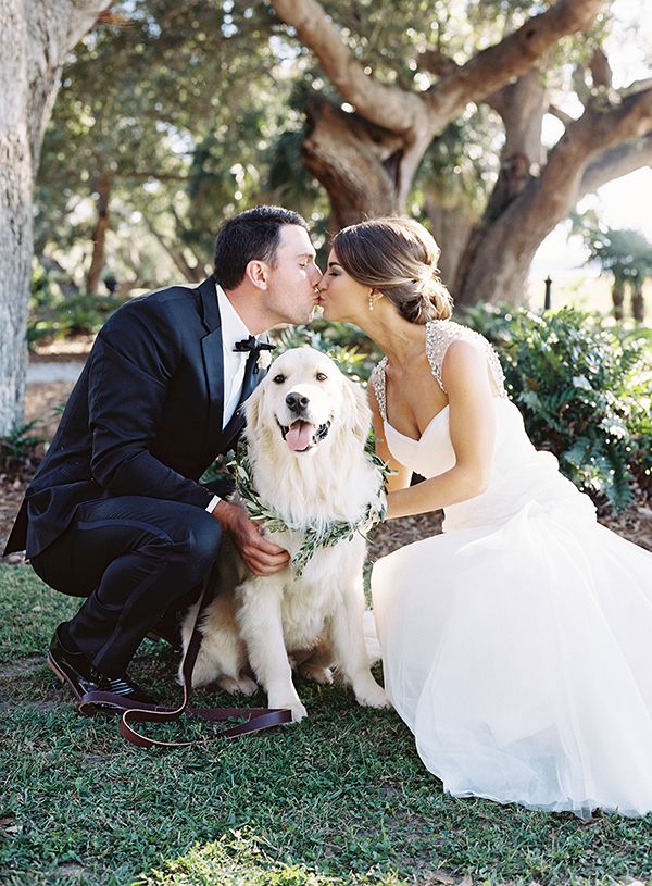 wedding dog colorado