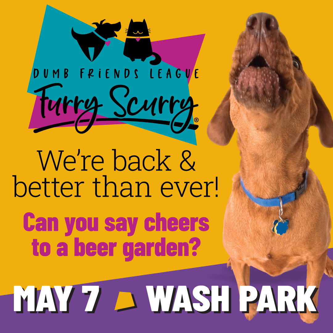 Furry Scurry 2022 - Canine University Denver