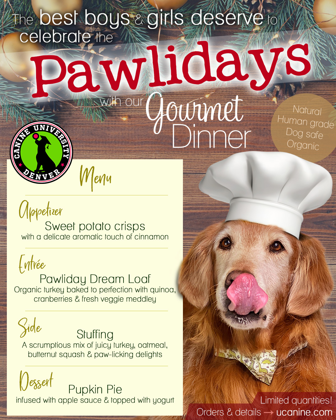Pawliday Dinner Canine University Denver